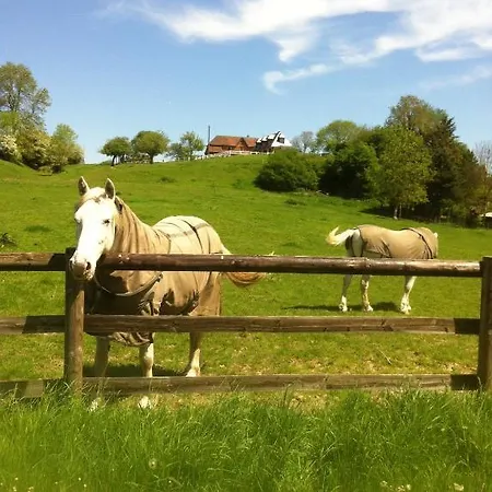 Bed & Breakfast D'hote La Roseraie Hermival-les-Vaux