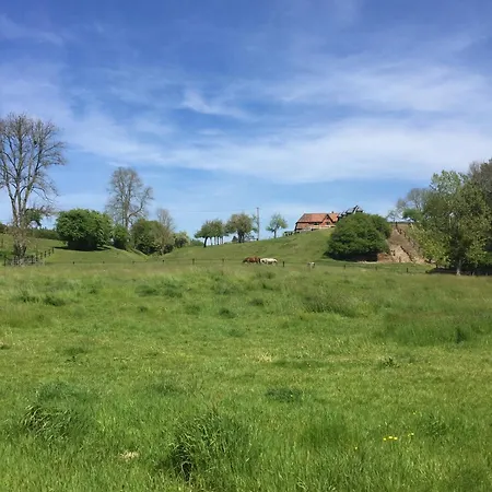 ベッド・アンド・ブレックファスト D'hote La Roseraie Hermival-les-Vaux