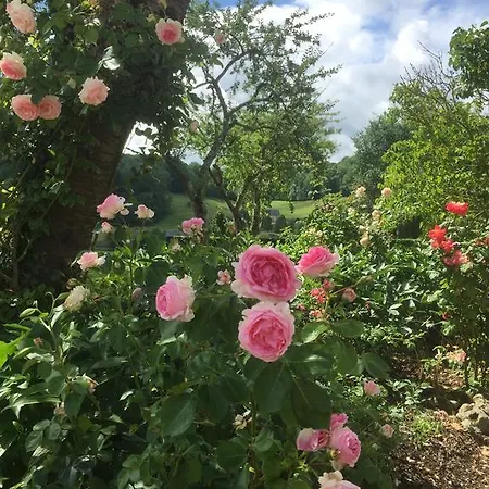 Bed & Breakfast D'hote La Roseraie