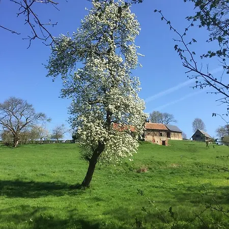D'hote La Roseraie Bed & Breakfast *